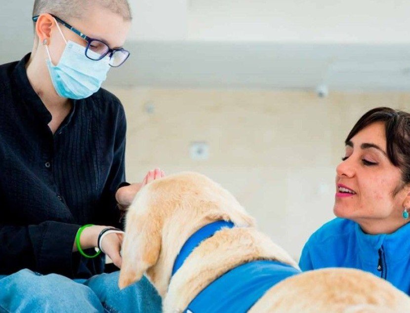 Terapia con perros en hospitales: "Hay pacientes que se ríen de verdad por primera vez en meses"